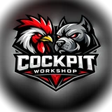 Cockpit Workshop
